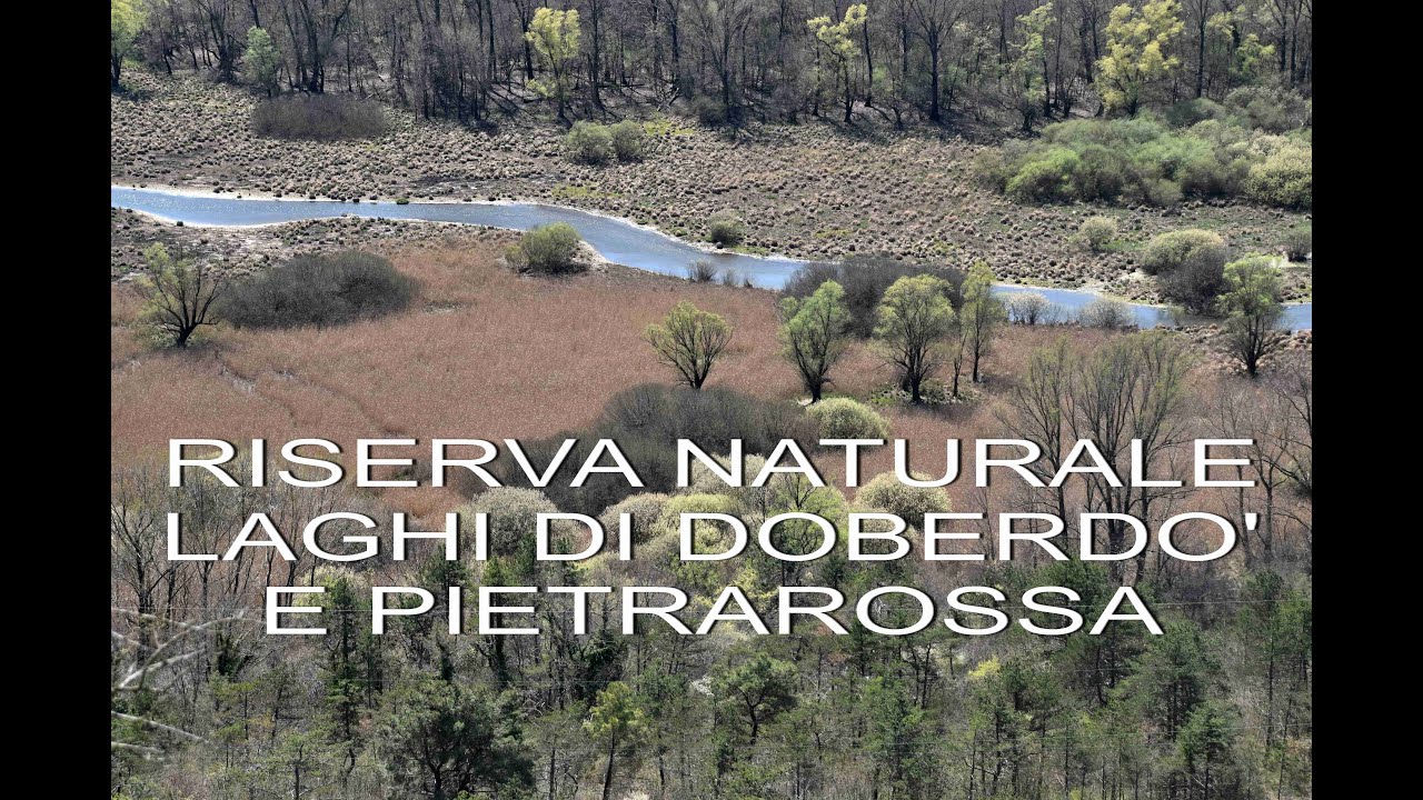 RISERVA NATURALE DEI LAGHI DI DOBERDO' E PIETRAROSSA