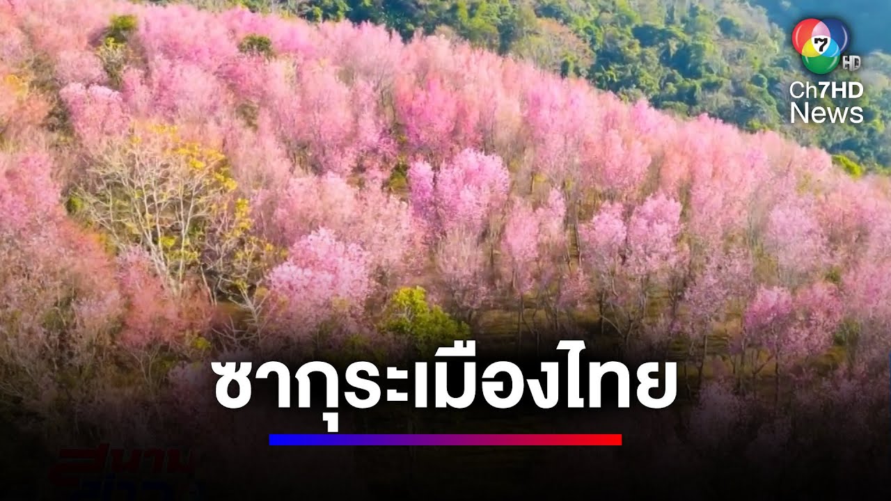 สวยงามตระการตา หุบเขาสีชมพู 