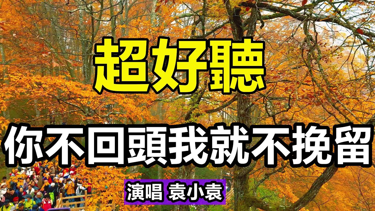 超好听！手机里一定要存下这首《你不回頭我就不挽》字字带泪，听哭了太好听了，百听不厌！给生活加点糖chinese song