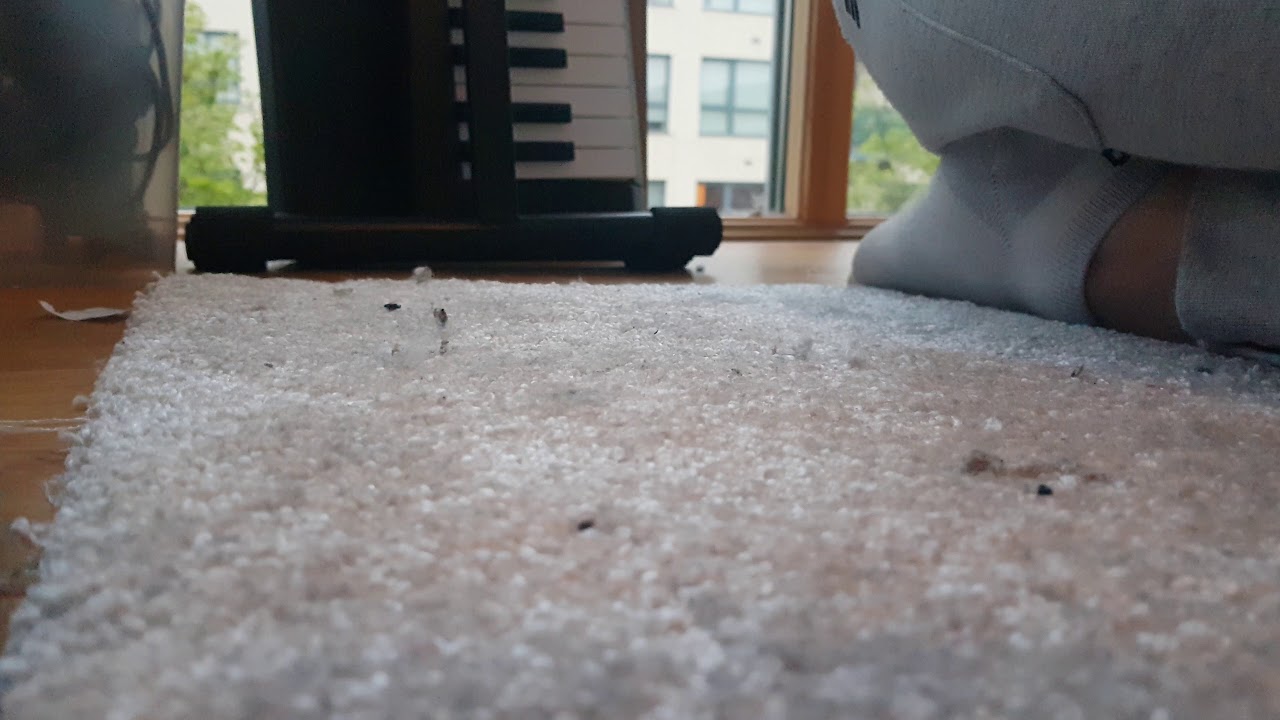 Willow Smith - Everything Stays cover