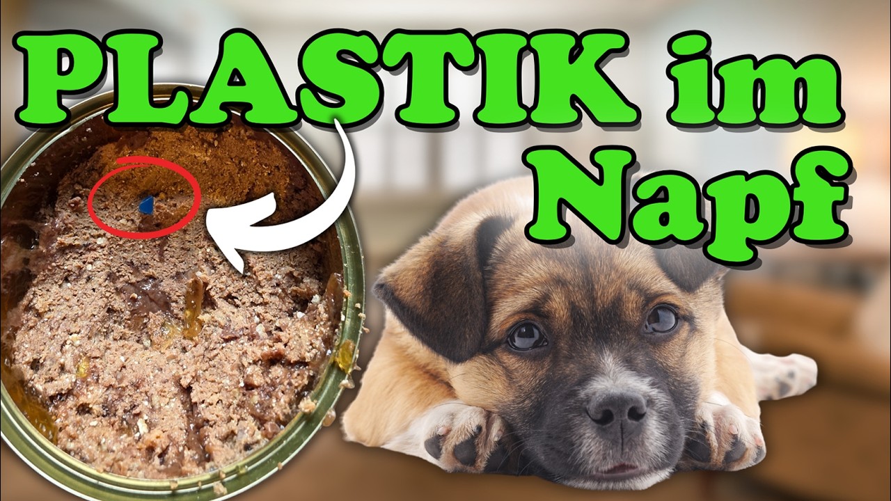 Plastik & Fremdkörper im Hundefutter: Wirklich Plastik ? + Ursachen & wie du dein Hund schützt! ⚠️😯