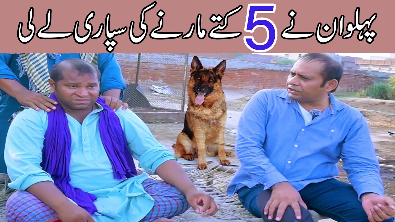 hilarious comedy by saddique tabasam & gergila | funny video | prank | 