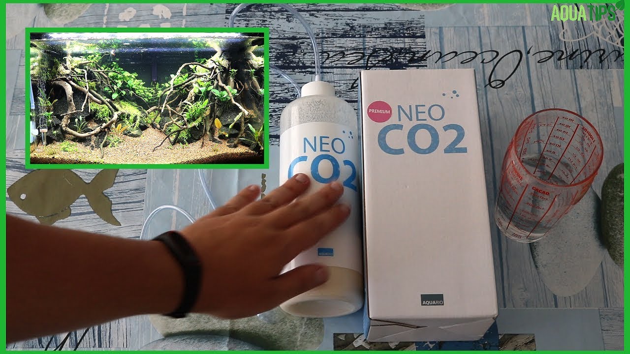 COMO instalar CO2 en mi ACUARIO PLANTADO: REFILL NEO CO2 || AquaTips