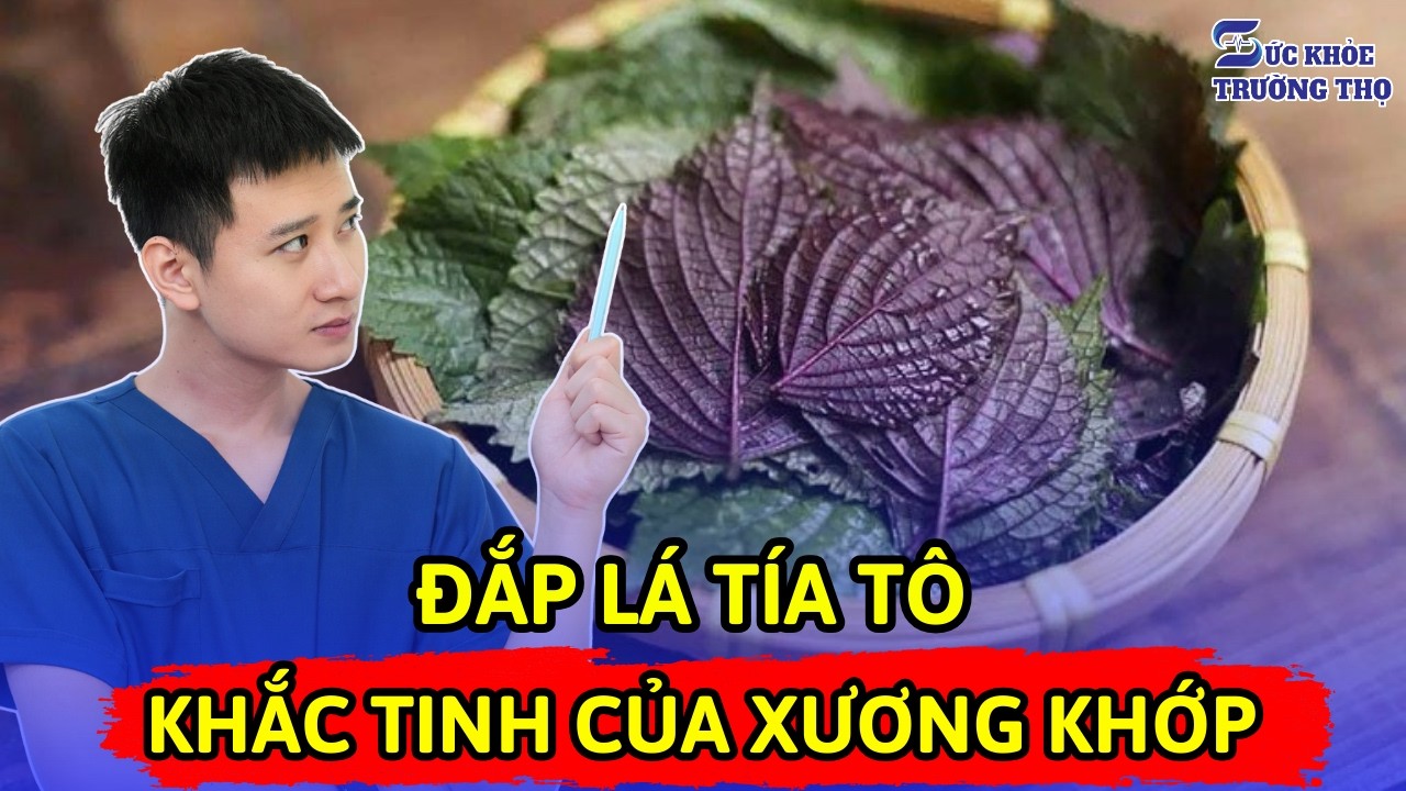Viêm Khớp Và Gout Dùng Dược Liệu Gì? Giã Lá Tía Tô Đắp Theo Cách Này Hết Viêm Khớp | Bác sĩ Ngọc