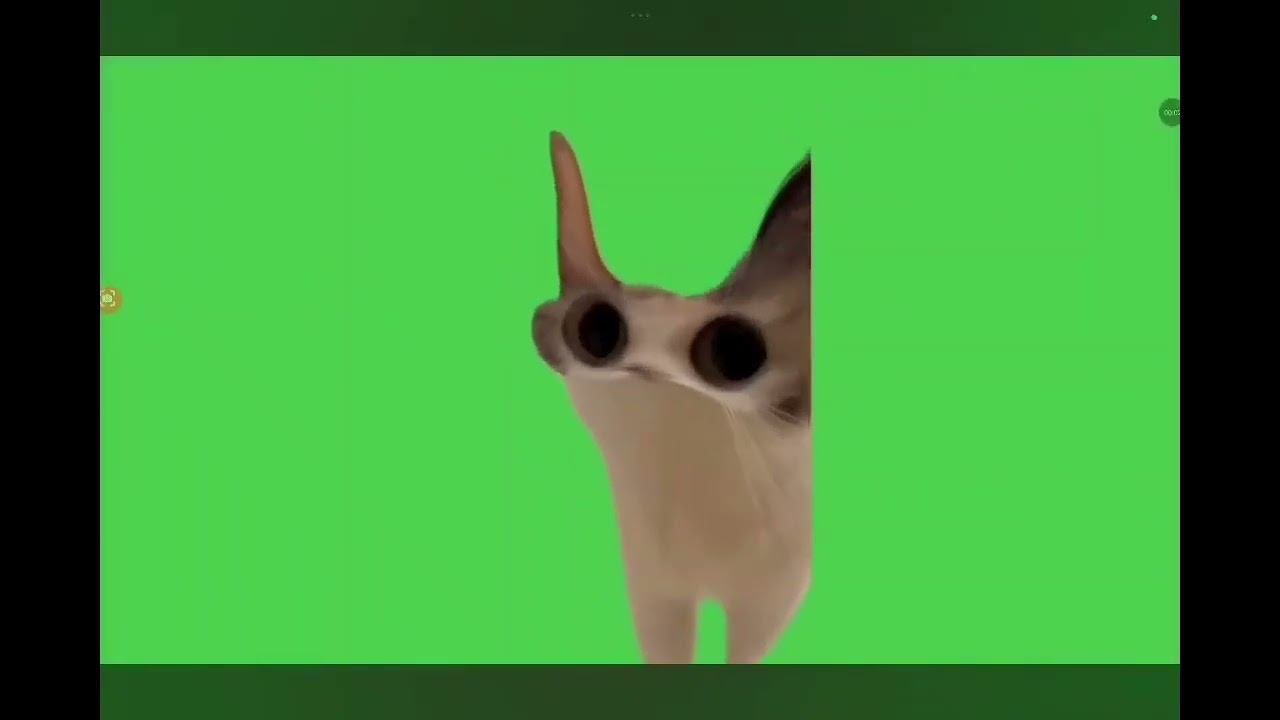 Все старые мемы с котами🙀🙀🙀