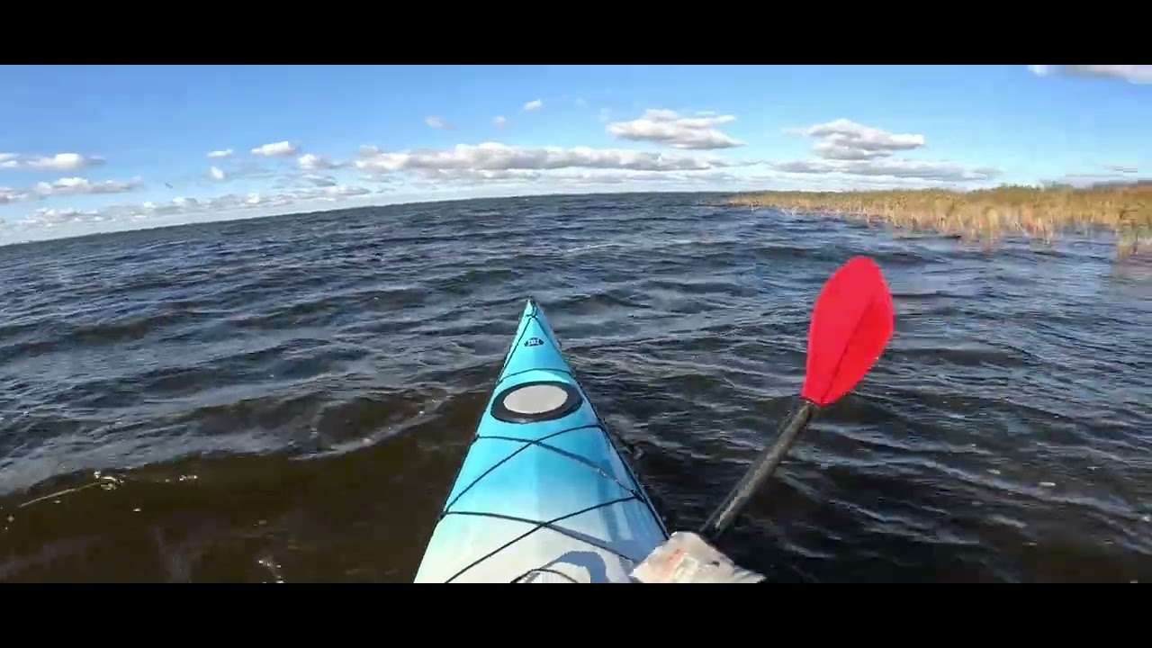 Nemuno delta 2025 -10 -18