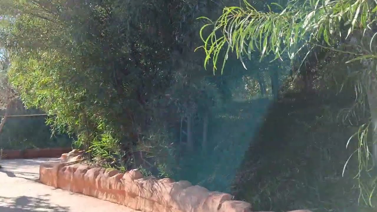 ΜΙΚΡΗ ΠΕΡΙΗΓΗΣΗ ΣΤΟ ATTIKO ZΩΟΛΟΓΙΚΟ ΠΑΡΚΟ