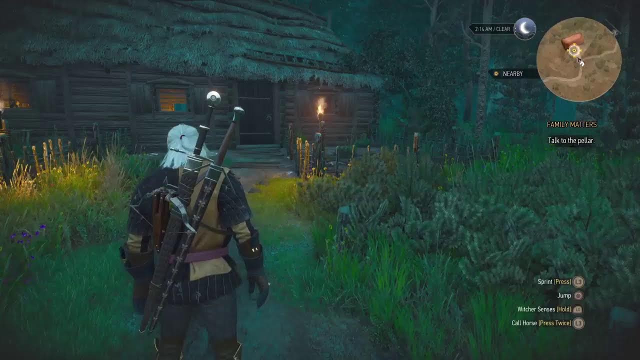 The Witcher 3 First Playthrough part 3