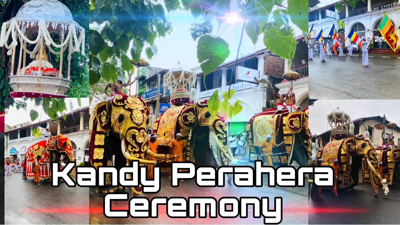 Kandy Perahera Ceremony Poson Poya Day | පොසොන් පොහෝ දින මහනුවර ශ්‍රී දළදා මාළිගාවේ පැවැත්වූ පෙරහැර