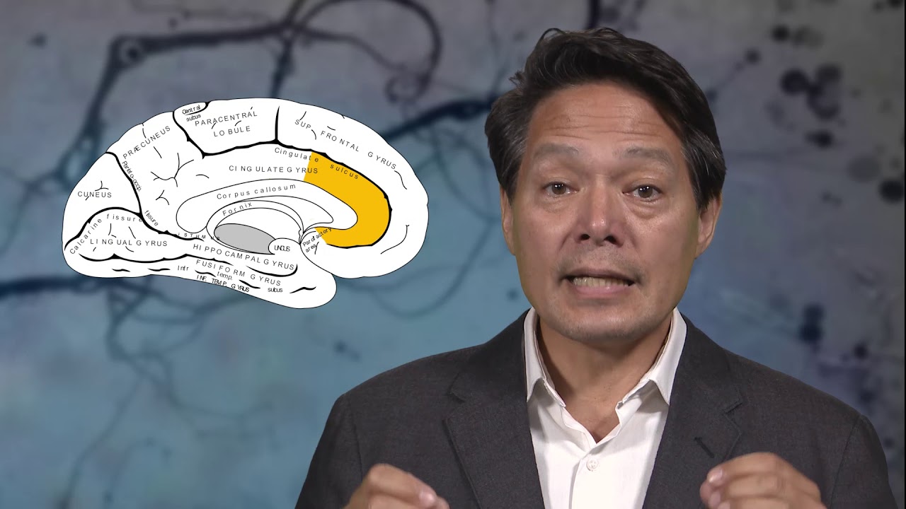 4.23 The neural basis of willpower