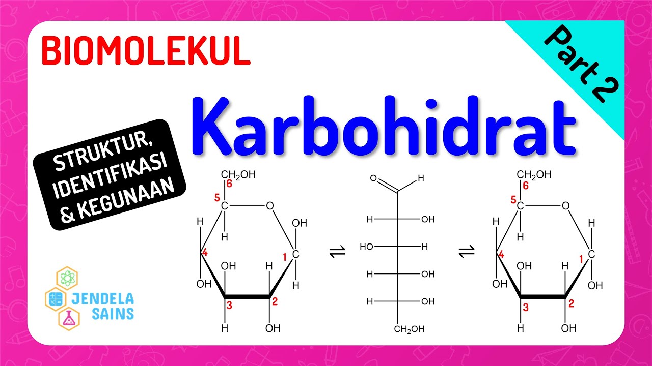 Biomolekul • Part 2: Jenis, Kegunaan dan Reaksi Identifikasi Karbohidrat
