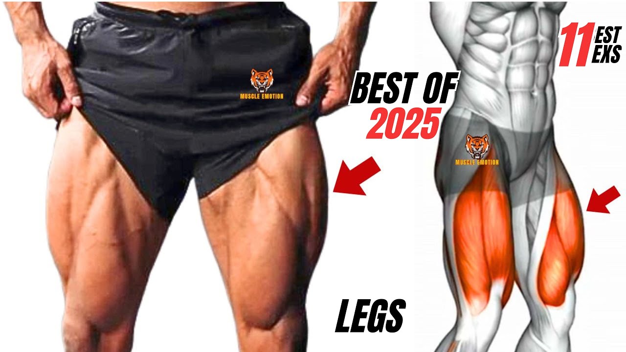 11 BEST LEGS WORKOUT AT GYM / BEST OF 2025