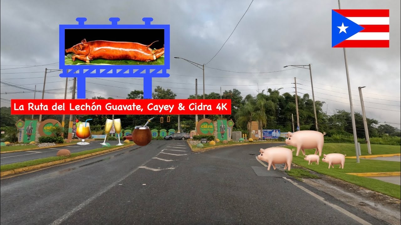 🐷 Guavate Puerto Rico 4K Driving around Cayey & Cidra 🇵🇷