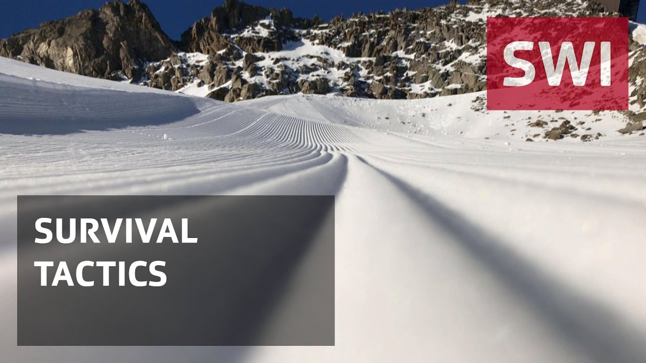 How ski resorts hold on to their snow
