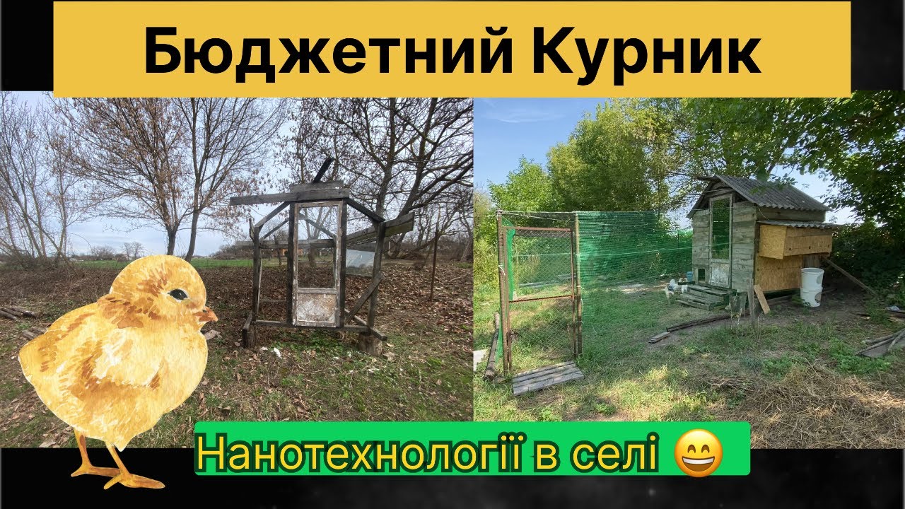 По будував курник на 20 курей - вийшло краще, ніж очікував!