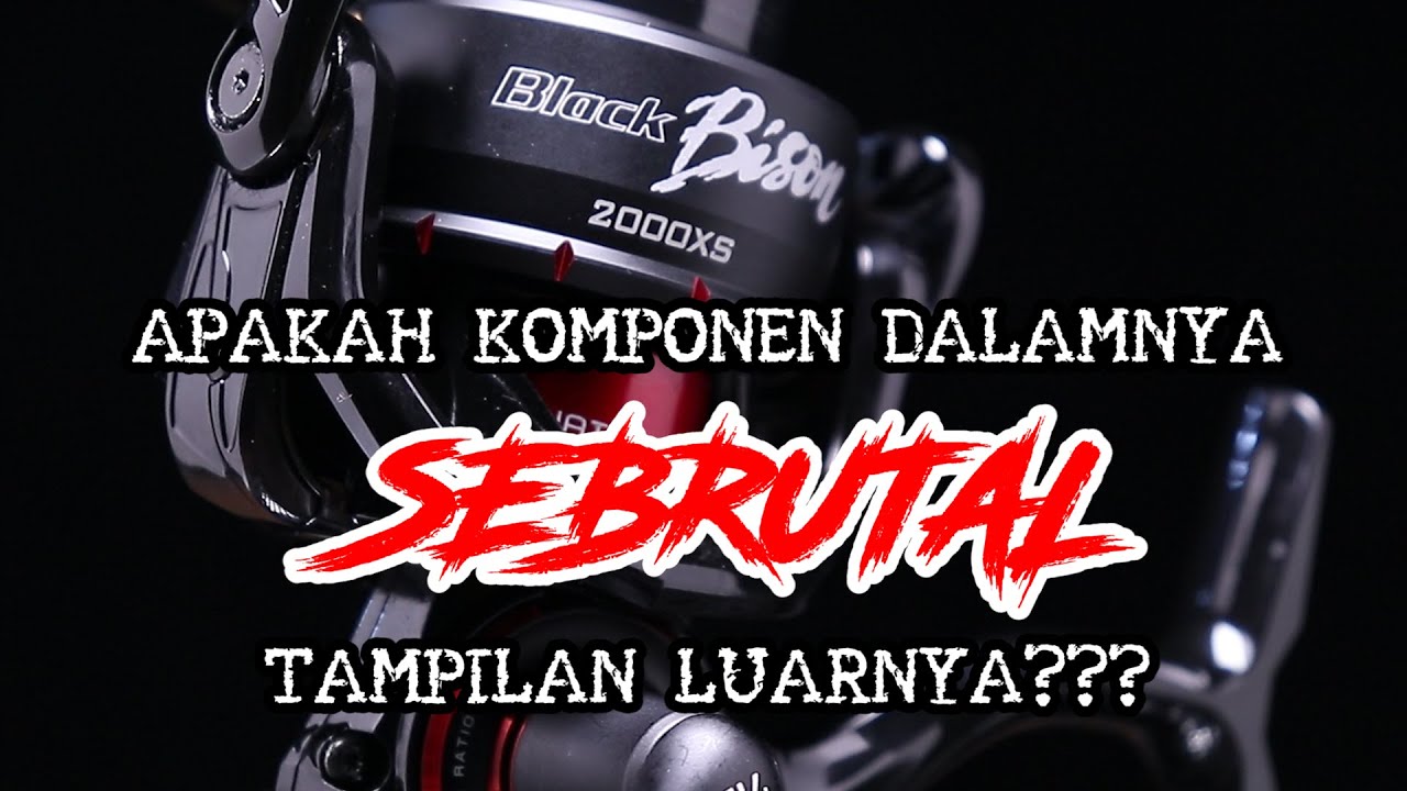 BONGKAR ABIS DAIDO BLACK BISON.. APAKAH WORTH???