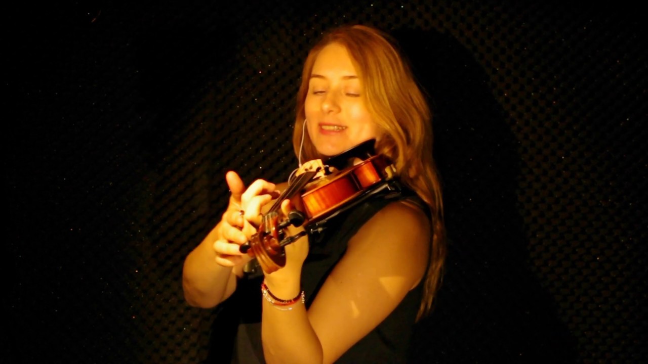 Lezione di violino. La mano sinistra.