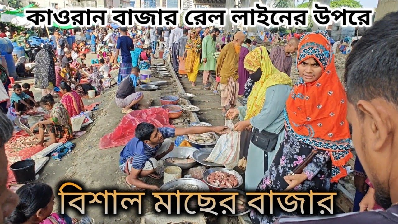 মাত্র ১০০ টাকায় তেলাপিয়া ও রুই মাছ ||কাওরান বাজার!  Kawran bazar #fish 