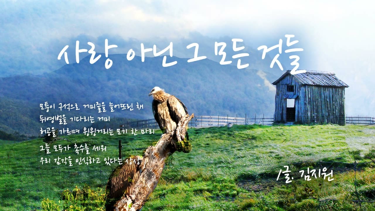 시노래 김지원 - 사랑 아닌 그 모든 것들