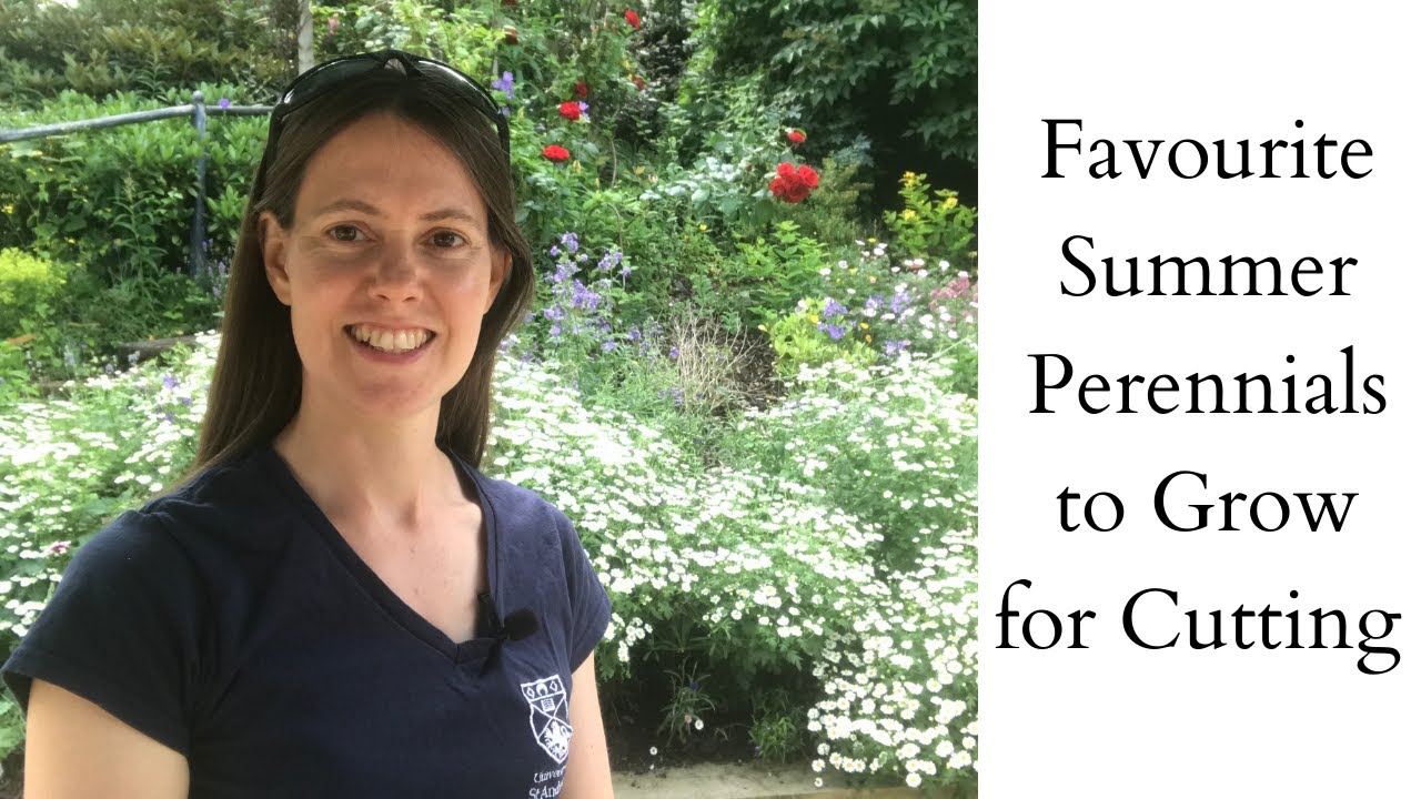 Favourite Summer Perennials for Cut Flowers