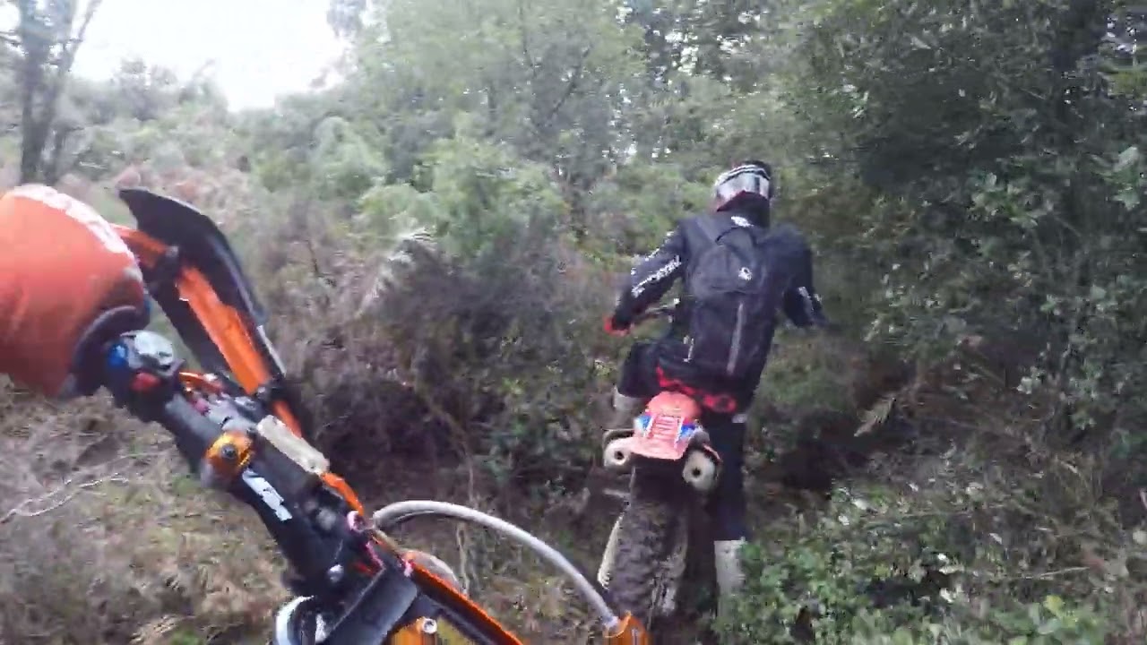 Enduro gargalianoi No6
