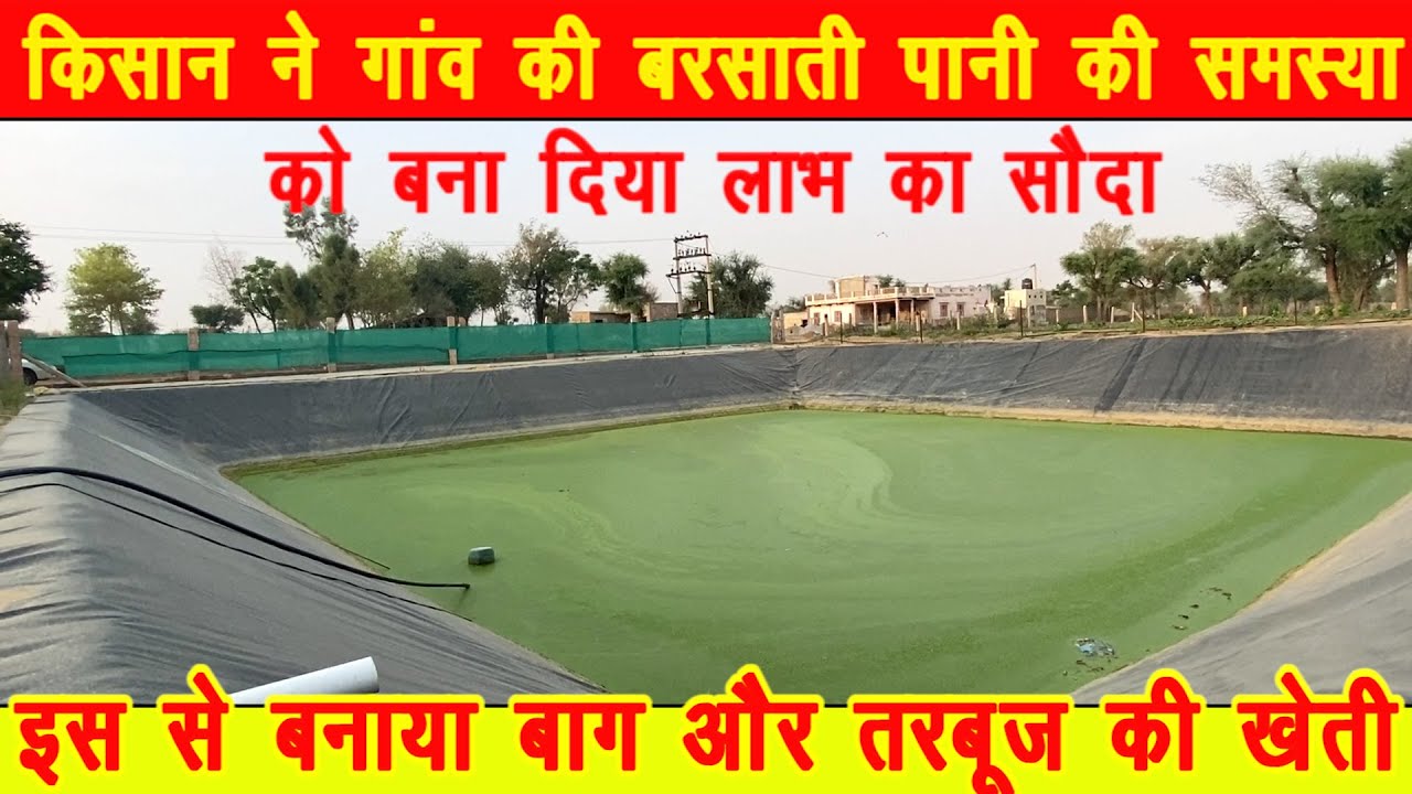 किसान ने गाँव की बरसाती पानी की समस्या को बनाया लाभ का सोदा|Farm pond||निम्बू की बागवानी||तरबूज खेती