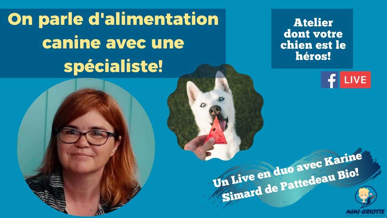 Comprendre l'alimentation canine, c'est important!