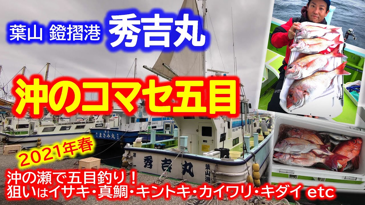 【沖のコマセ五目釣り】沖の瀬で魚種多彩な五目釣り！真鯛・イサキ・キントキ etc【葉山 秀吉丸】