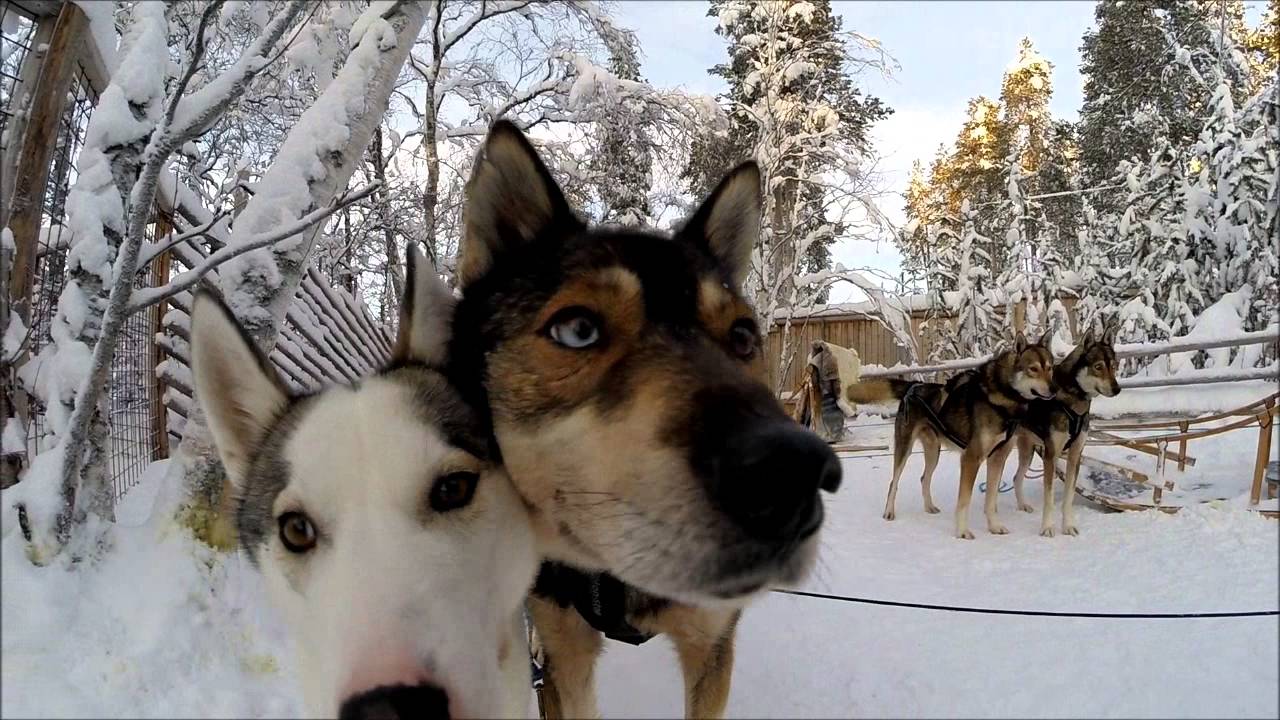 Lapland January 2016, Nellim Wilderness Hotel