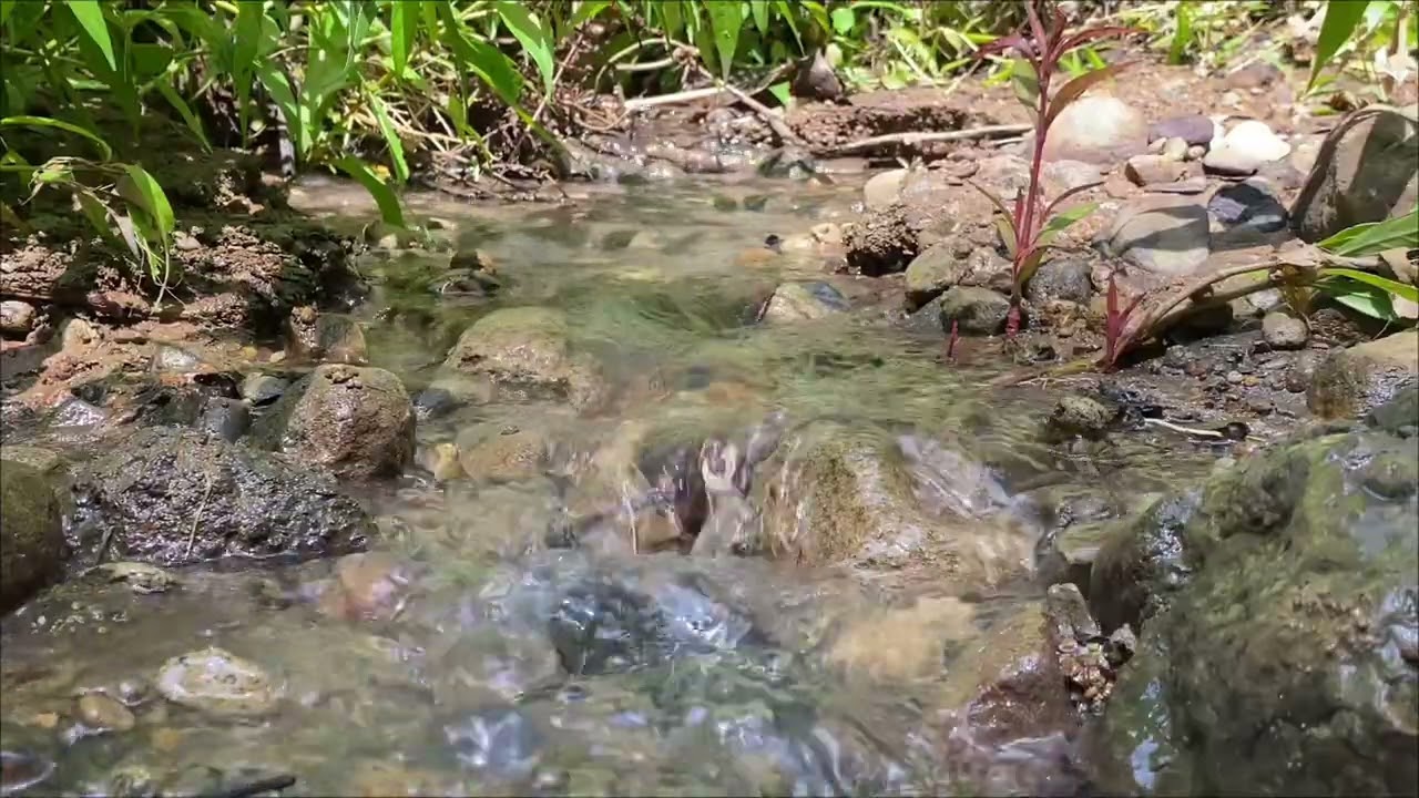 Gentle Trickling Water - 1 Hour - No Music