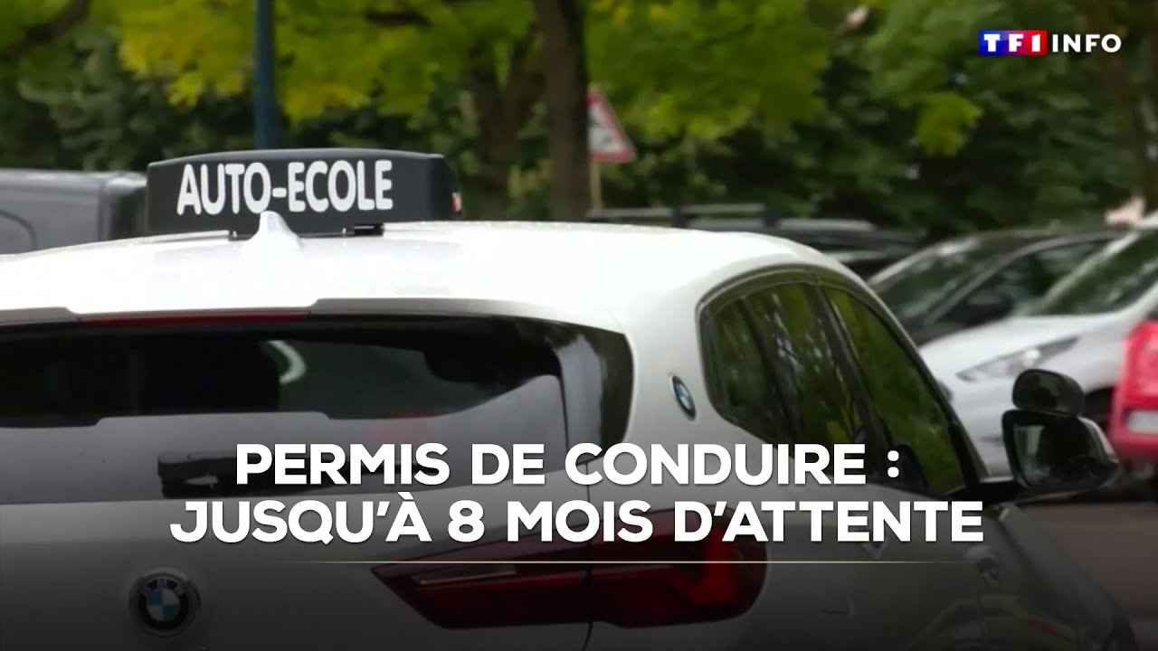 Permis de conduire : jusqu'à 8 mois d'attente, pourquoi une telle galère ?｜TF1 INFO