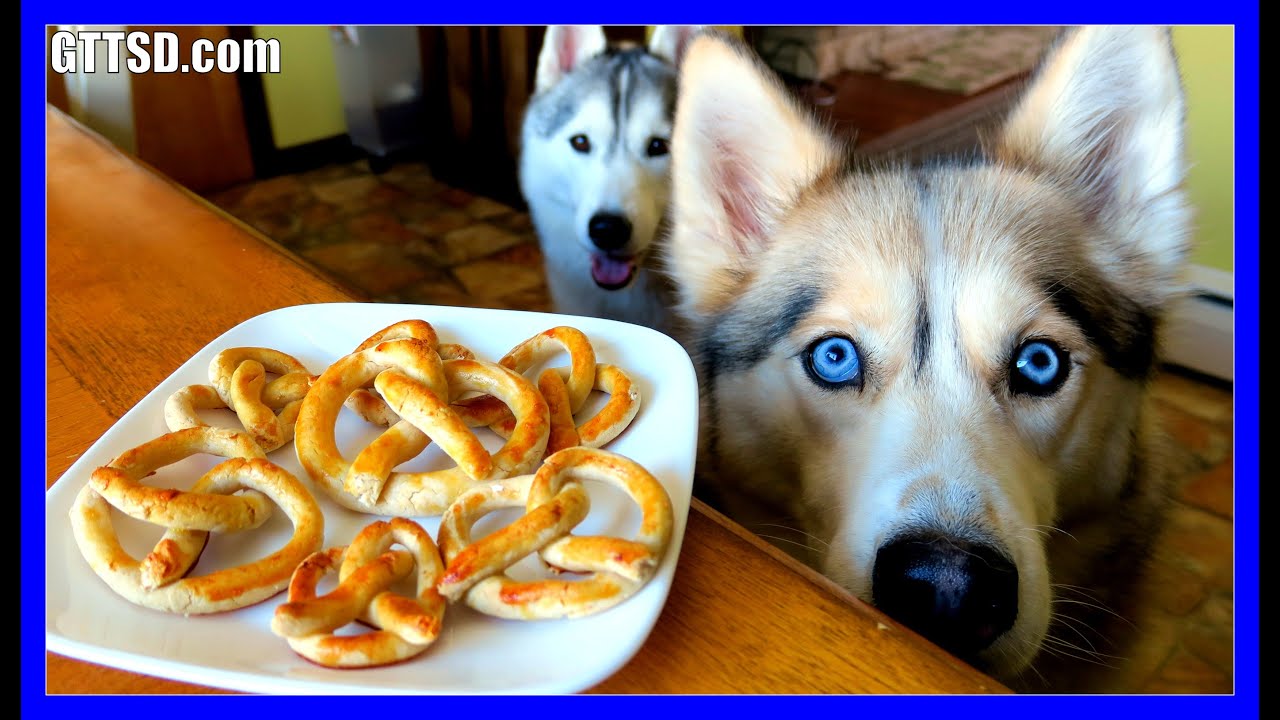 PRETZELS FOR DOGS DIY Dog Treats | Pretzel Dog Cookies | Snow Dogs Snacks 45