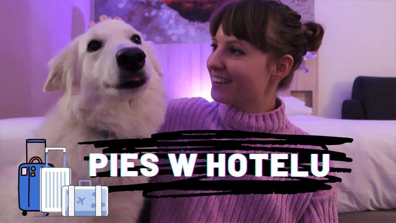 PIES W HOTELU - Jak to ogarnąć?