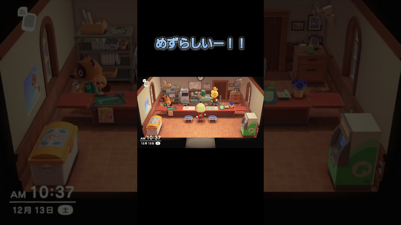 あつ森　まとめ　#311～320　まったりしていきませんか？🥰