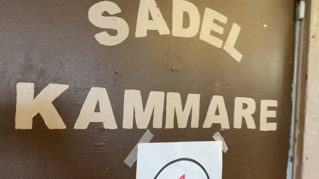 Tränsning av häst
