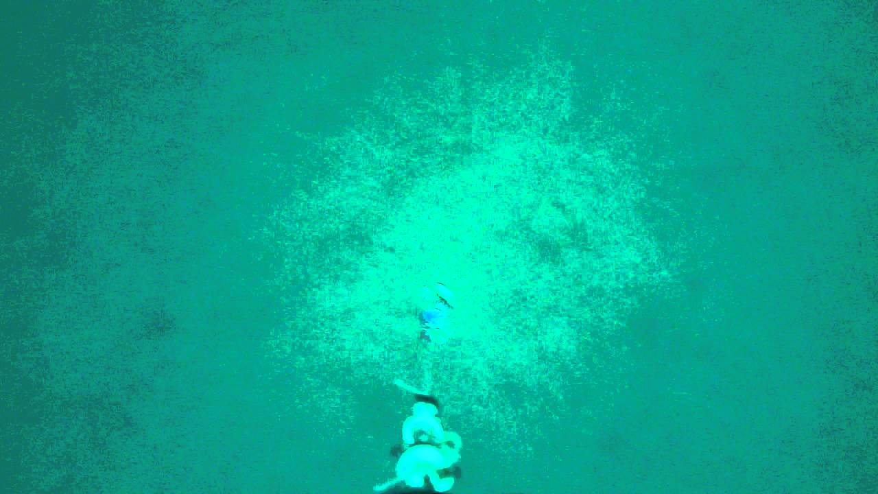 Attaque d'un calamar sur une turlutte dans 26m de fond