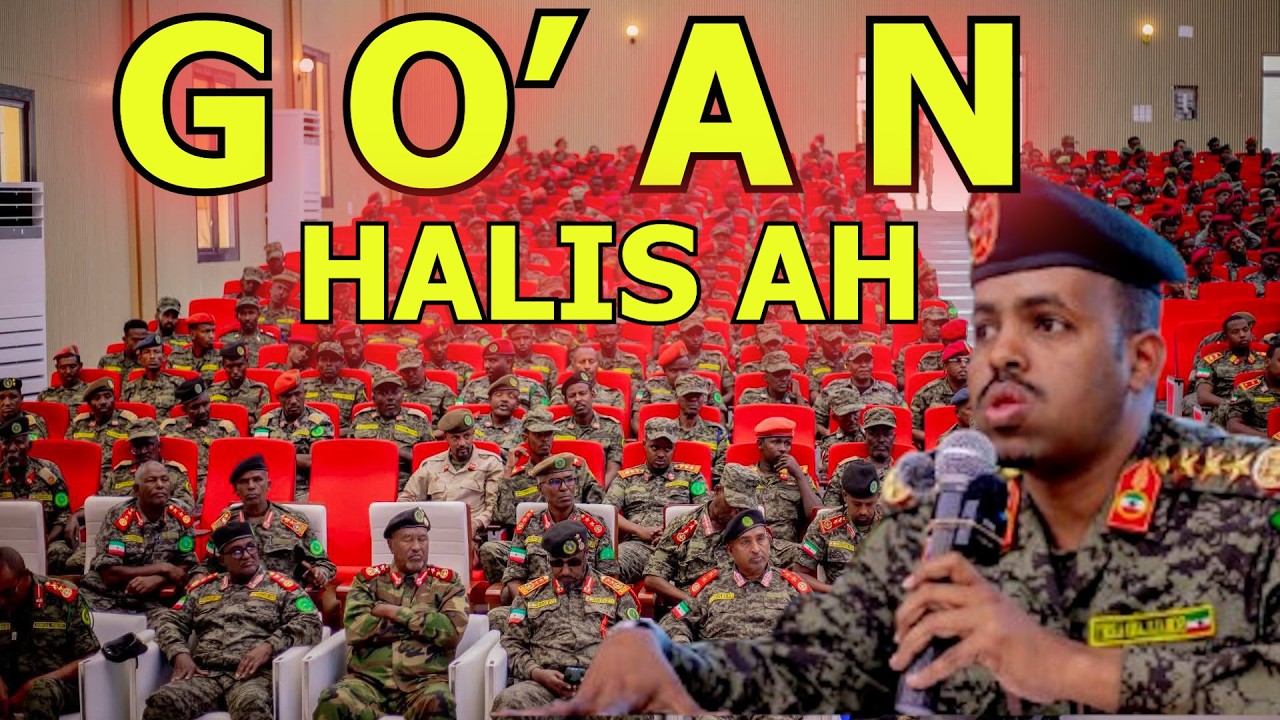 MW CIRO OO AMANKIISA HALIS KUJIRA + CIDAMA MADAXTOYADA BUUX DHAFIYAY + FASHILKA AWDAL IYO HALISTA