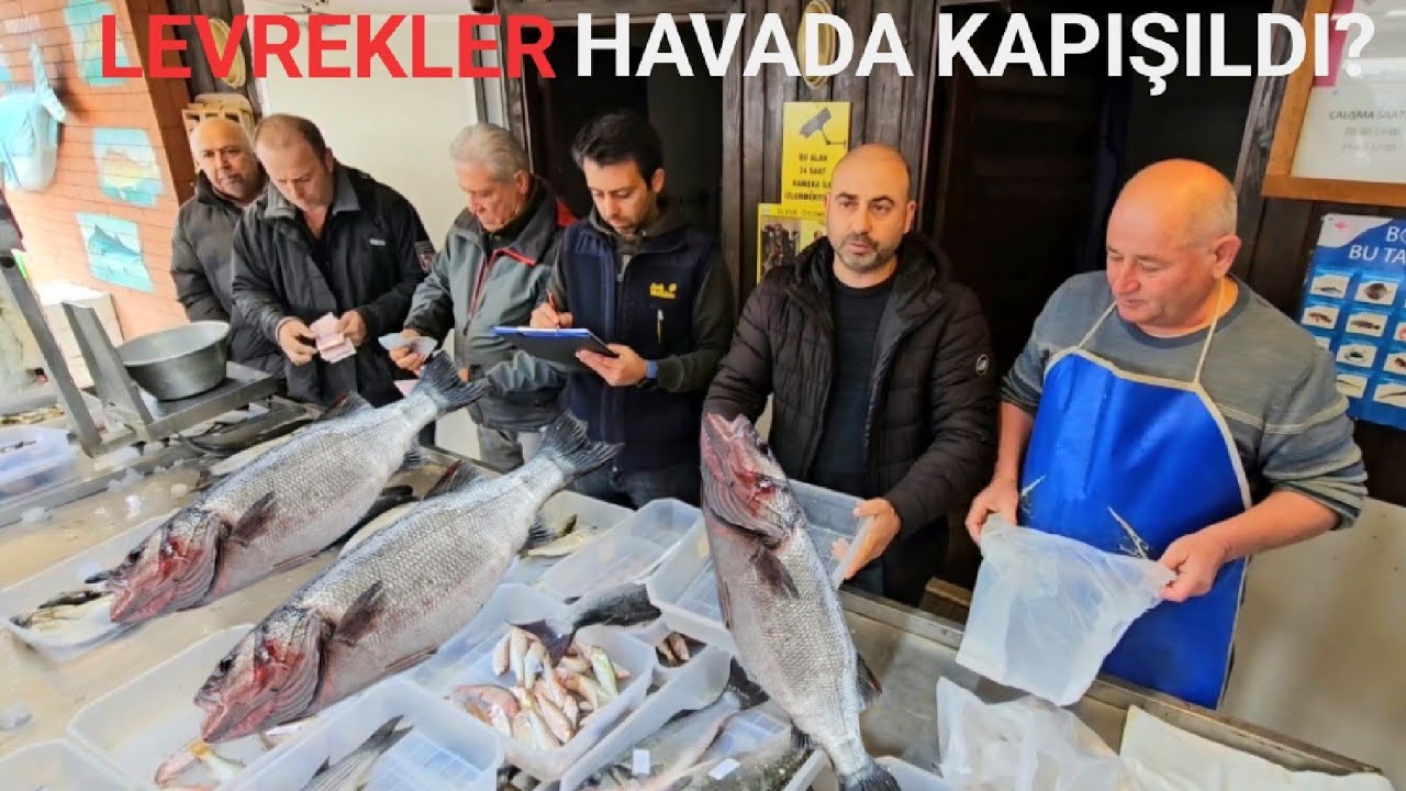 BALIK MEZATI (MORDOĞAN) 16.01.2026 GENİŞ EKRAN