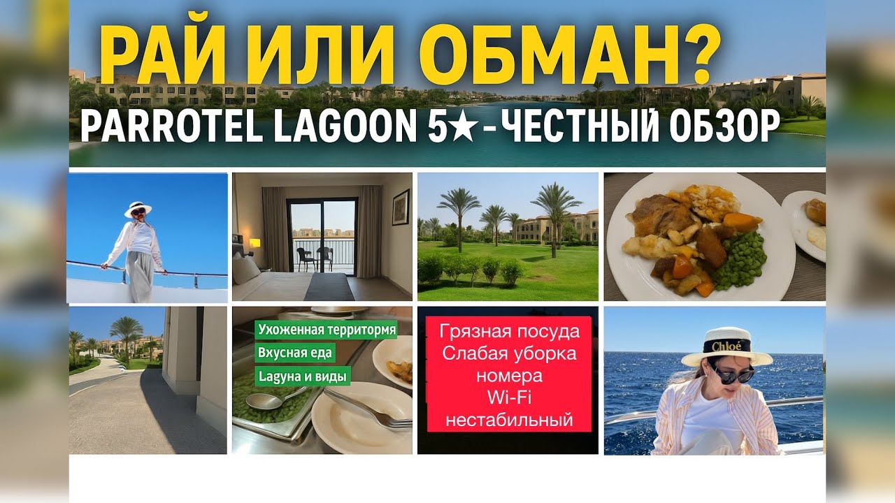 “Отдых в Египте: стоило ли ехать?”          Parrotel lagoon resort 5⭐️