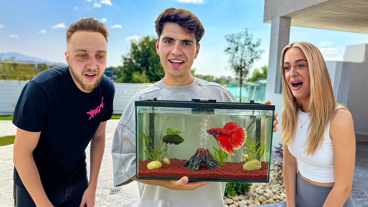 DailyVlog 104 - Va Prezint Noul Membru Al Familiei: Pestele Vezuviu