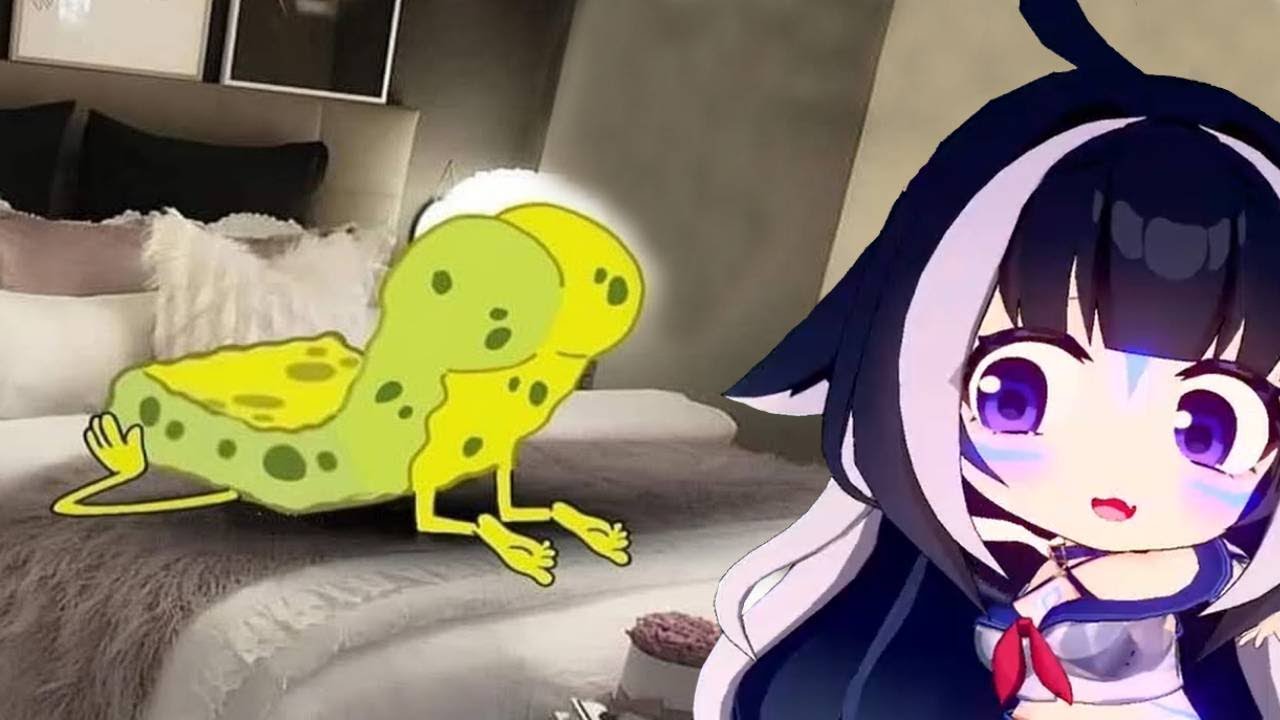 Shylily Laughing At Funny Memes With You