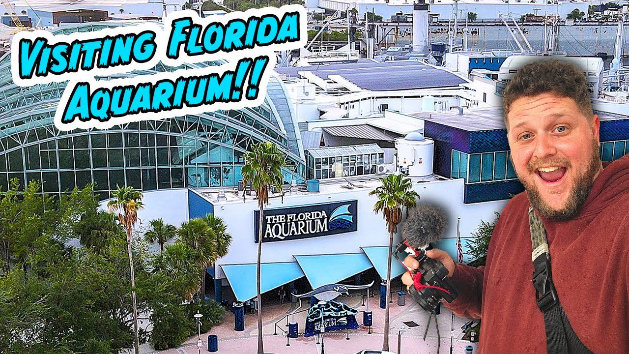 VISTING THE FLORIDA AQUARIUM IN TAMPA | The Walkers' Adventures!