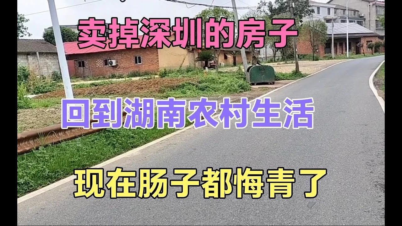 卖掉深圳的房子，回到湖南农村现在肠子都悔青了，后果太可怕了！