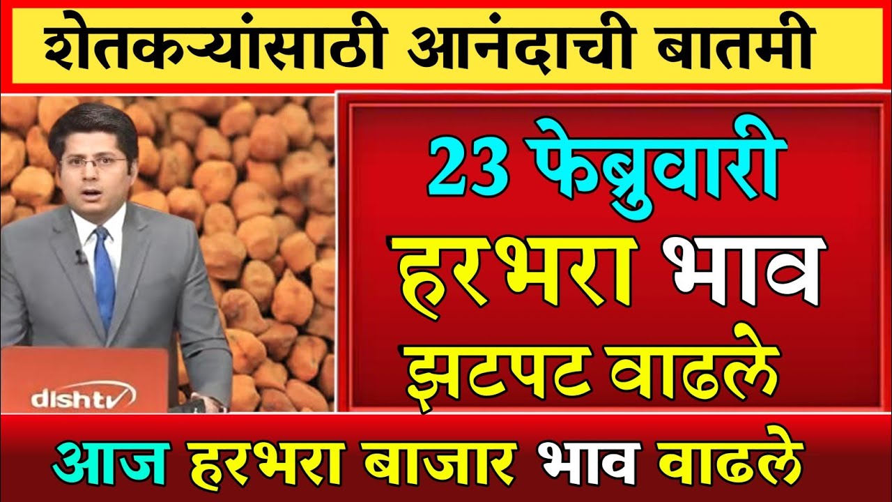 हरभरा दरात मोठी वाढ? पहा आजचे ताजे बाजारभाव | कोणत्या मार्केटमध्ये मिळाला सर्वाधिक दर?