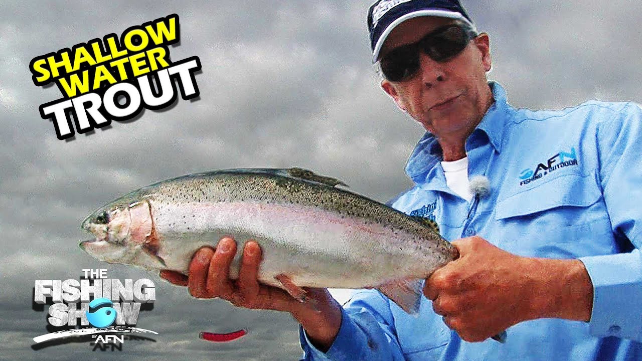 MEGA RAINBOWS! Shallow Water Trout Trolling