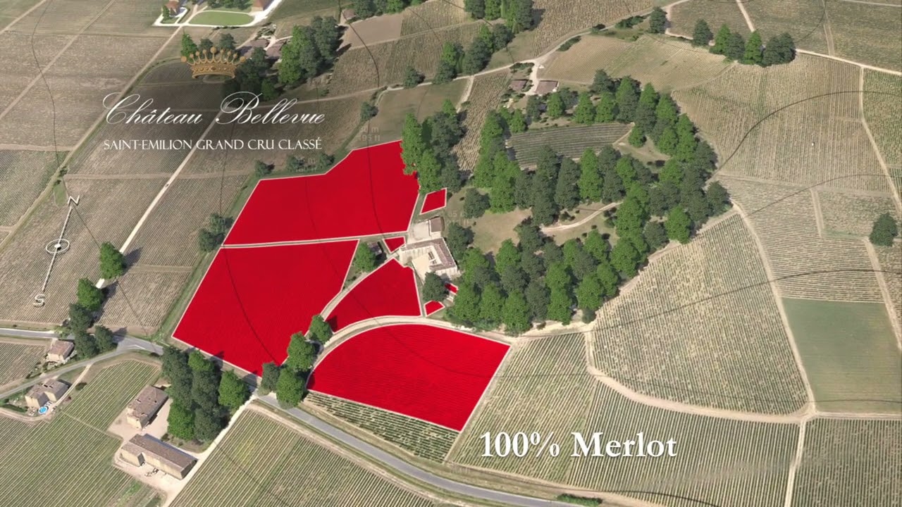 Chateau Bellevue, Saint-Emilion