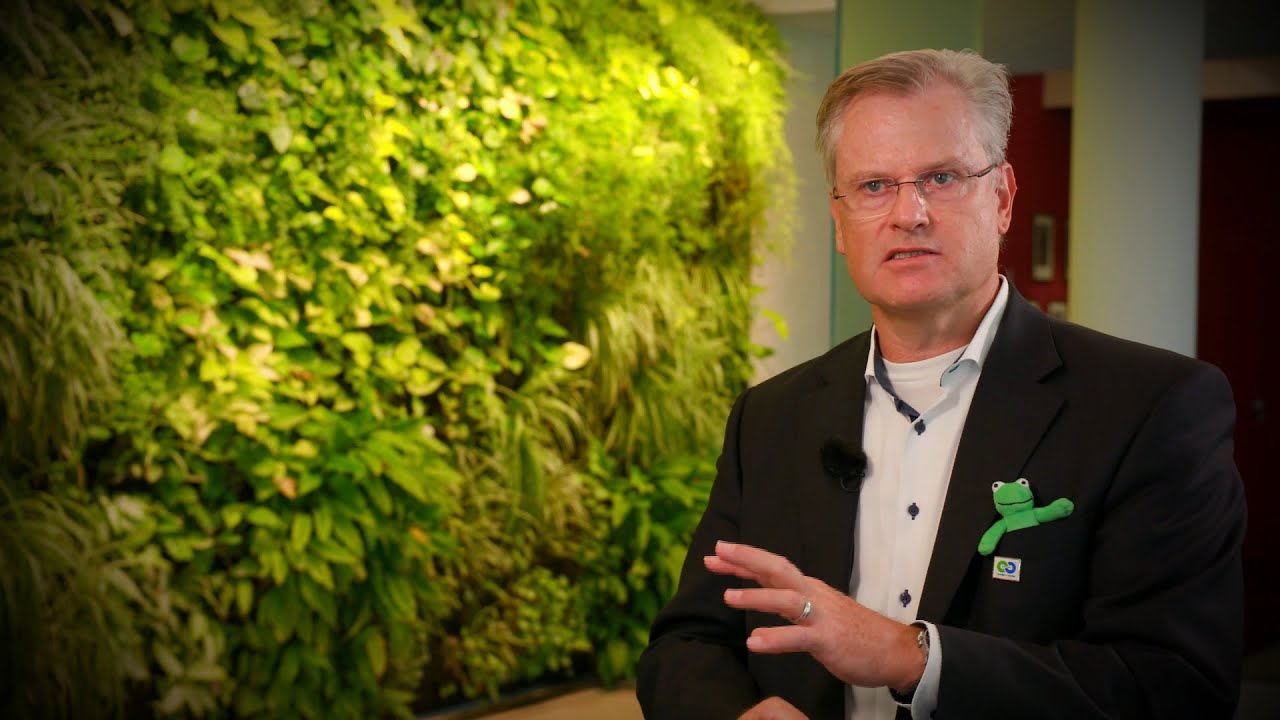 Wertewandel vs. Greenwashing – Nachhaltigkeit bei Werner & Mertz