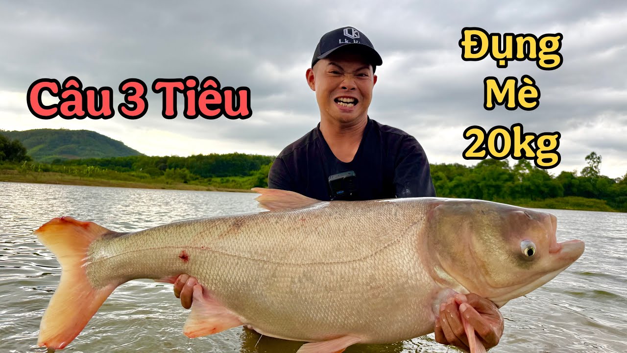 Lần Đầu Câu Thử Môn 3 Tiêu. Đụng Cá Mè Khủng