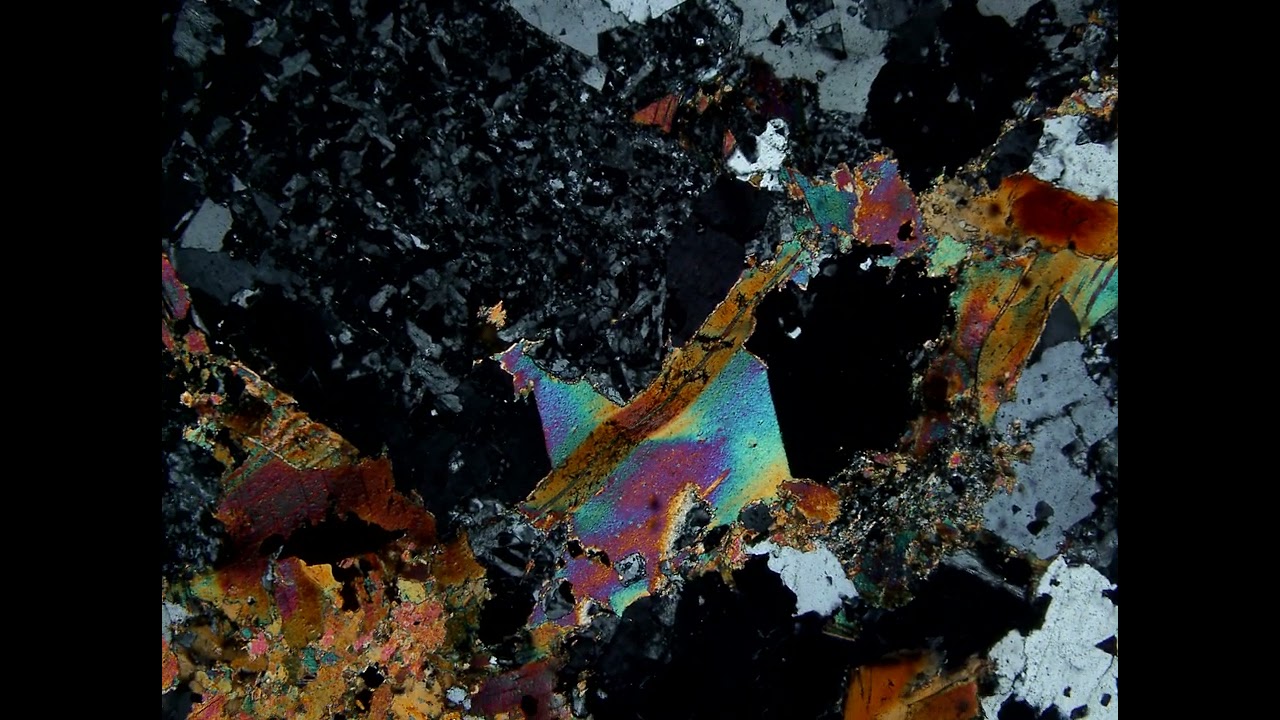 Biotite