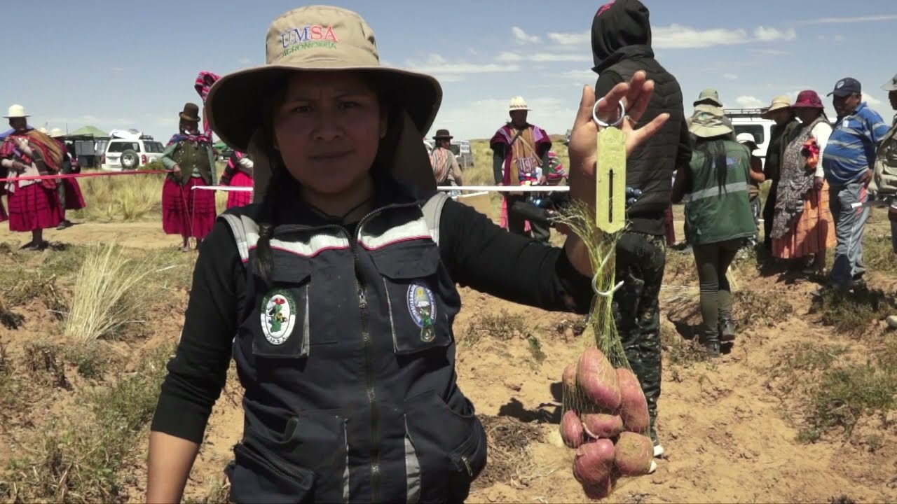 Video Jatun Puka en campañas Fitosanitarias
